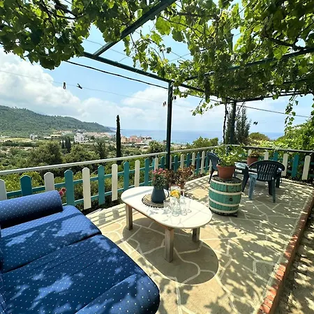 Boungainvillea * Himarë