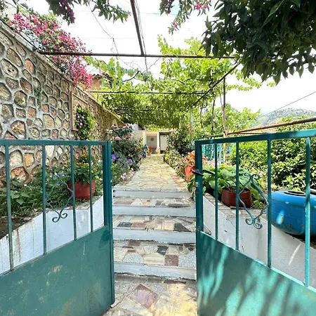 Boungainvillea Himarë