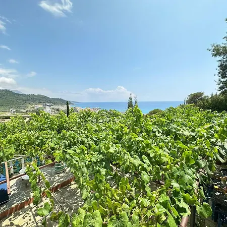 Boungainvillea 4* 히마레