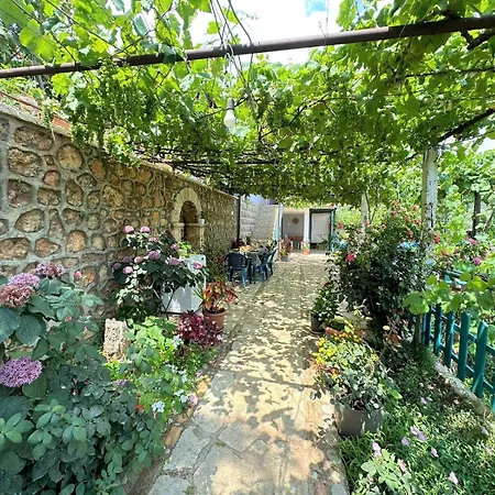 Boungainvillea 4* Himarë