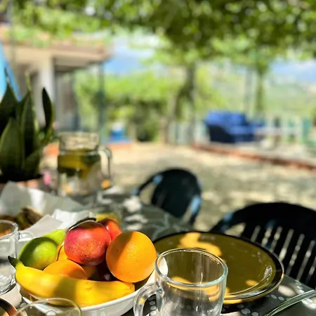 Boungainvillea Himarë
