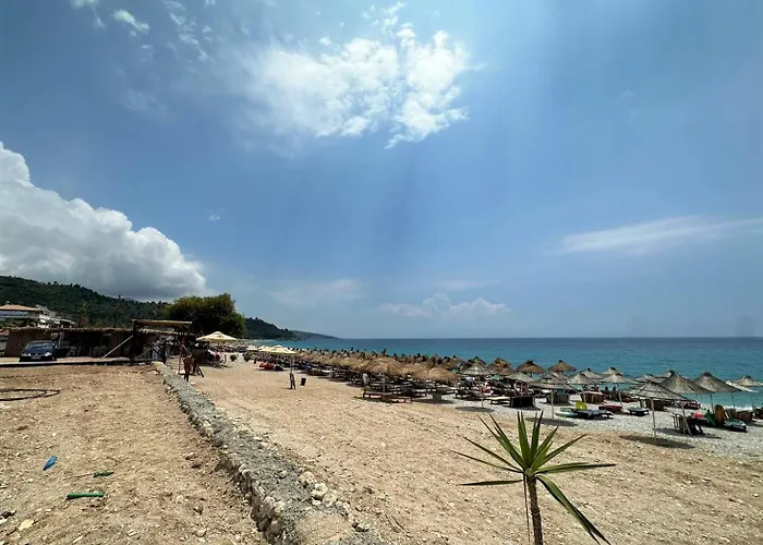 Boungainvillea Himare