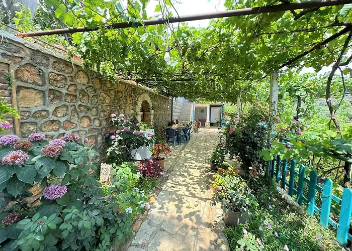 Boungainvillea 3* Himare
