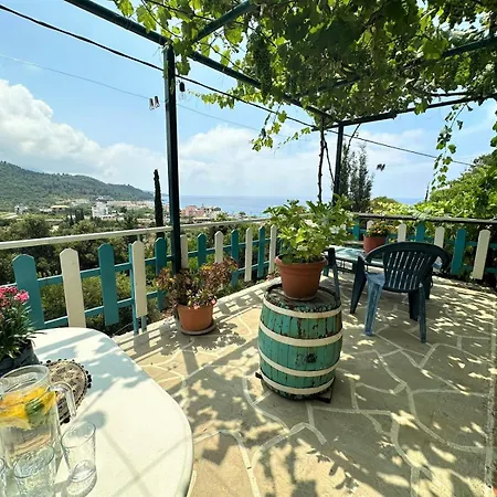 Guest house Boungainvillea 4*