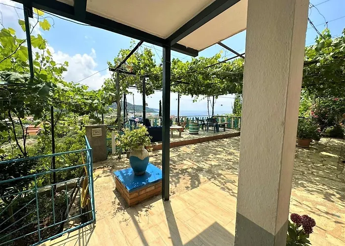 Boungainvillea 4* Himare
