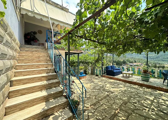 Boungainvillea