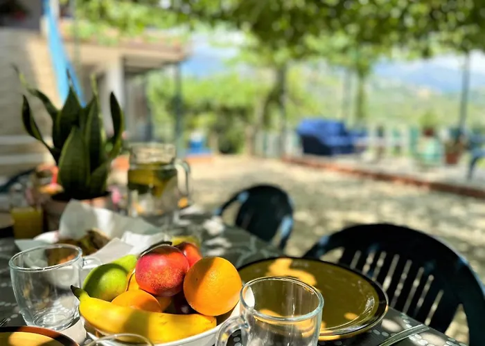 Boungainvillea Himare